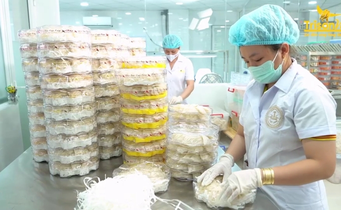 Sơ chế tổ yến tại Công ty Yến sào Trí Sơn. Ảnh: Minh Đảm.