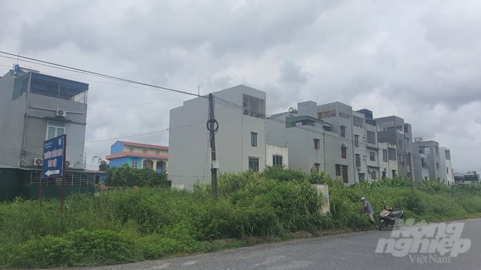 a4-142715_209.jpg Trung khi người dân chờ giao đất, khu đất để hoang, cỏ dại mọc lút đầu. Ảnh: Thái Bình.