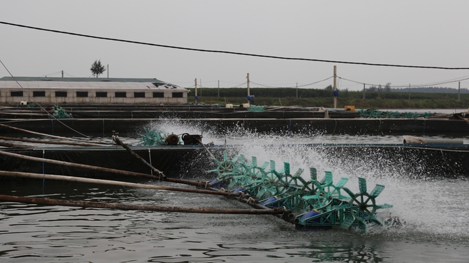 b10a-075601_644.jpg Hơn 90ha đầm bãi nuôi trồng thuỷ sản bị thu hồi không đền bù.