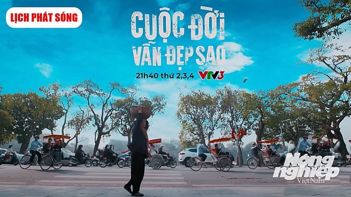 bo-phim-cuoc-doi-van-dep-sao-vtv3-113009_739.jpg Thông tin chi tiết về lịch chiếu bộ phim Cuộc đời vẫn đẹp sao trên kênh VTV3