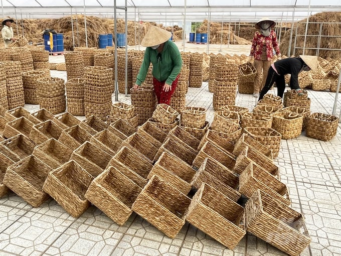 Đan giỏ từ cỏ năn tượng tạo sinh kế mới cho lao động nữ vùng nông thôn. Ảnh: Hữu Đức.