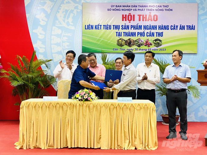 z4224078602289_bacd24eee14ff1f9b5fc58b754cb2abe-162151_570.jpg HTX sản xuất trái cây ký kết hợp đồng với doanh nghiệp để bao tiêu sản phẩm. Ảnh: Lê Hoàng Vũ.