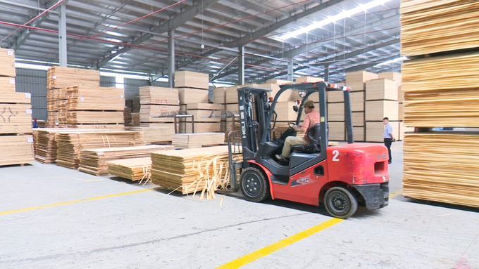 Plywood production for export in Thanh Binh Industrial Park, Cho Moi district, Bac Kan province. Photo: Ngoc Tu. 