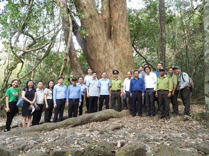 Minister of Agriculture and Rural Development Le Minh Hoan and the delegation took a souvenir photo under 'Bac Dong'. Photo: Tran Trung.