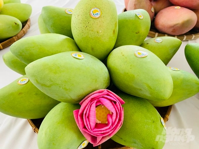 UBND tỉnh Đồng Tháp sẽ tổ chức Lễ hội Xoài, dự kiến diễn ra từ ngày 28/4 đến ngày 1/5, tại Quảng trường Công viên Văn Miếu, các tuyến đường: Đặng Văn Bình, Lý Thường Kiệt (đèn Thủy Tiên), thuộc phường 1, TP Cao Lãnh. Ảnh: Lê Hoàng Vũ.