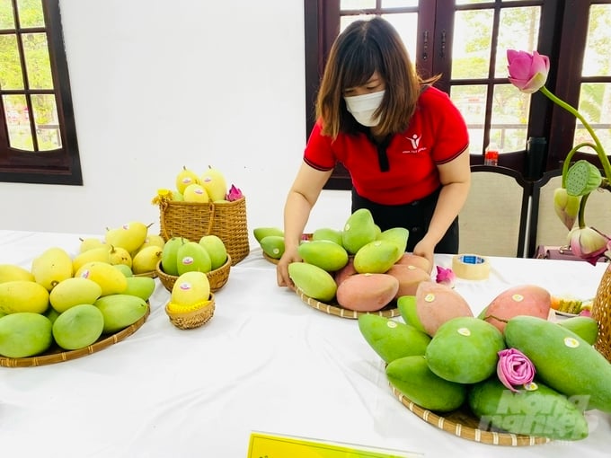Chắc chắn nhiều người cũng đã từng nghe đến thương hiệu 'Xoài nào ngon bằng xoài Cao Lãnh'. Ảnh: Lê Hoàng Vũ.