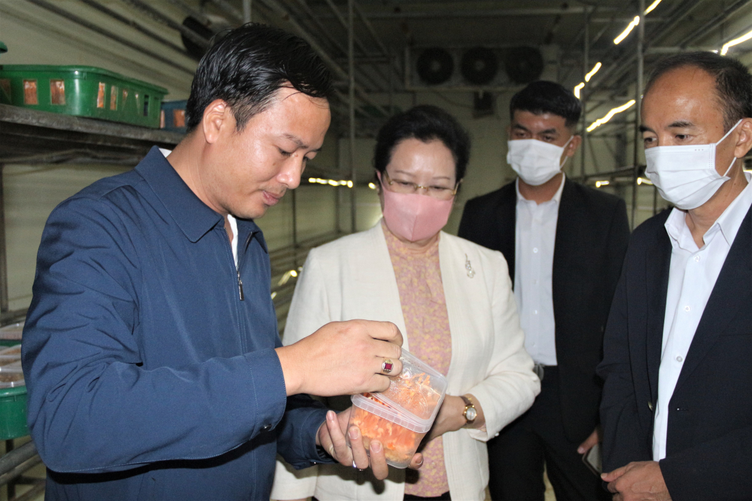 Tại Việt Nam, trồng nấm xuất khẩu là một chủ trương đã được Bộ NN-PTNT triển khai ở khắp các tỉnh thành trên cả nước. Sản lượng nấm xuất khẩu của Việt Nam vẫn tăng đều đặn nhưng đang được đánh giá là còn rất nhiều tiềm năng để phát triển vượt bậc. Nguồn nguyên liệu trồng nấm tại Việt Nam rất dồi dào nên không cần phải nhập khẩu nguyên liệu. Khí hậu và thời tiết Việt Nam cũng là một điều kiện thuận lợi cho việc trồng nhiều loại nấm.