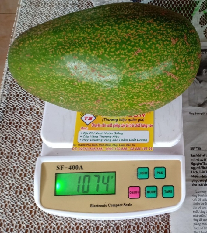 Giống bơ Thanh Sơn cho trái to tới 1kg, cơm dày, dẻo, được đánh giá cao. Ảnh: Kiều Nhi.