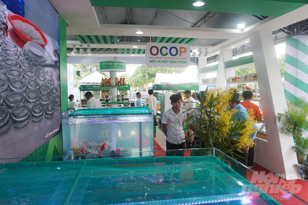 Cá cảnh là một trong những nhóm sản phẩm nông nghiệp tiêu biểu của TP. HCM. Ảnh: Nguyễn Thủy.
