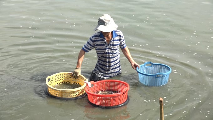 070_vinhbptv504000_11_54_20still022-130133_710.jpg Do hạn chế về nguồn nước, người dân nơi đây chỉ nuôi được 1 vụ/năm. Ảnh: Lê Bình.