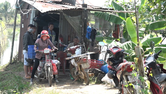 070_vinhbptv504000_18_12_02still028-125237_450.jpg Thương lái đến tận nơi thu mua tôm càng xanh cho bà con. Ảnh: Lê Bình.
