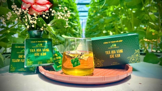 Sản phẩm trà hoa vàng của Công ty TNHH Hà Diệp. Ảnh: Ngọc Tú. 