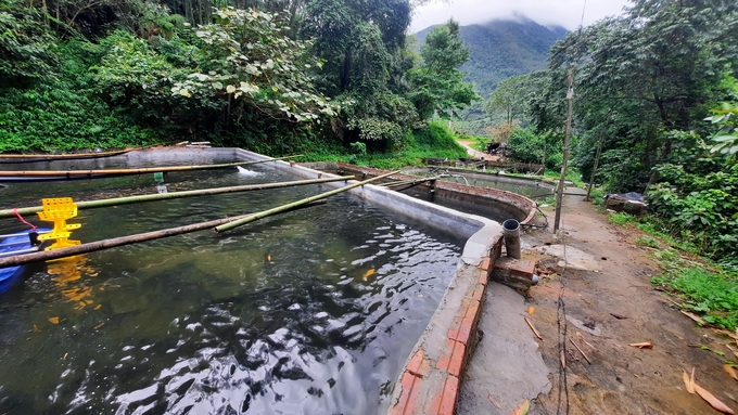 Mô hình nuôi cá tầm tại thôn Khe Tiền, xã Đồng Văn, huyện Bình Liêu của ông Đoàn Đình Kha. Ảnh: Nguyễn Thành.