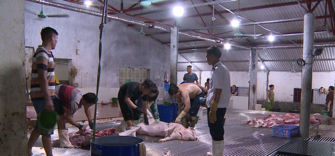 Là tỉnh có nhu cầu tiêu thụ rất lớn sản phẩm chăn nuôi nhưng Nghệ An hiện vẫn chưa có cơ sở giết mổ tập trung nào đạt chuẩn. Ảnh: THNA.