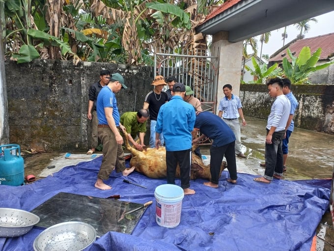 na-085058_738.jpg Các cơ sờ giết mổ tự phát, nhỏ lẻ tại Nghệ An còn rất phổ biến, chưa được kiểm soát chặt chẽ. Ảnh: ST.