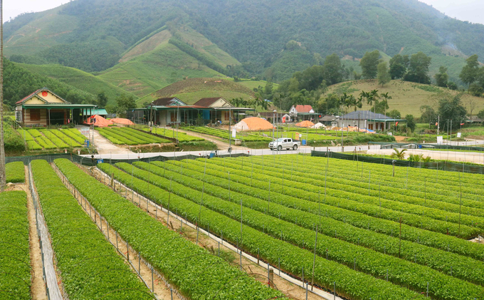 Một góc làng nghề ươm cây giống xóm Mỹ Lâm. Ảnh: Huy Thư.