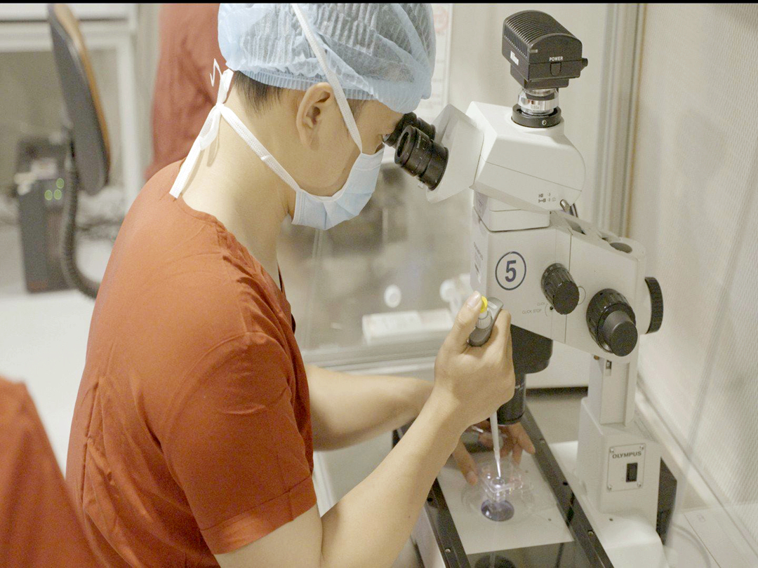 Nhờ kỹ thuật thụ tinh trong ống nghiệm (IVF) giúp hàng ngàn cặp vợ chồng hiếm muộn đón chào những đứa con khỏe mạnh. Ảnh: BVCC.