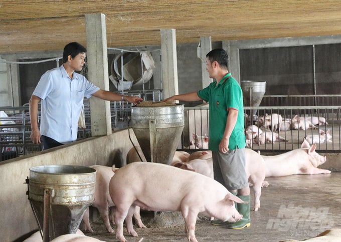 Hiện việc khôi phục hệ thống thú y cơ sở tại Nghệ An vẫn chưa hoàn tất dù đã có chủ trương của tỉnh. Ảnh: Quốc Toản.