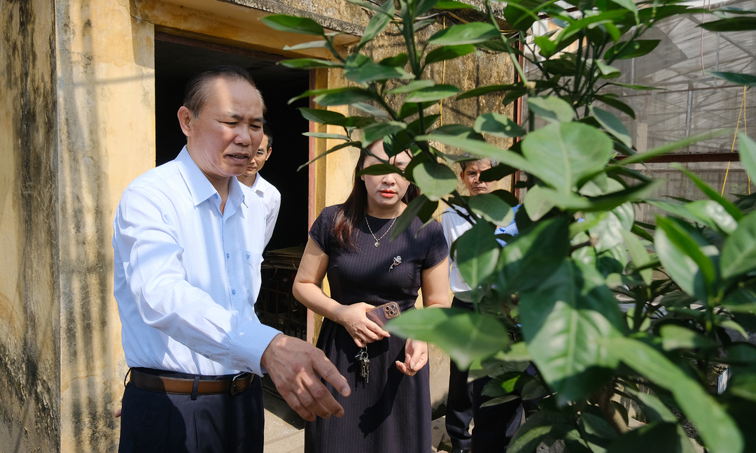Vườn cây đầu dòng của Viện BVTV chứa nhiều giống quý tại các vùng miền trên cả nước. Ảnh: Bảo Thắng.