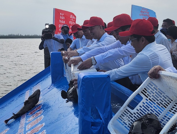 Việt Nam và Trung Quốc sẽ tiếp tục phối hợp thực hiện thả giống tái tạo nguồn lợi thủy sản trong những năm tiếp theo. Ảnh: VPĐB.