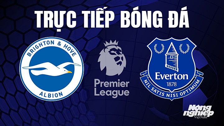 Trực tiếp bóng đá Ngoại hạng Anh giữa Brighton vs Everton hôm nay 8/5/2023