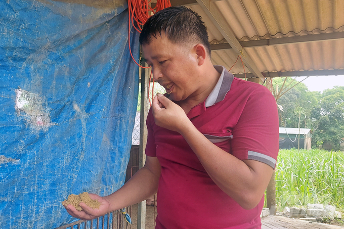 Anh Nguyễn Đăng Vương tự tin nếm thức ăn của đàn lợn. Ảnh: Võ Dũng.
