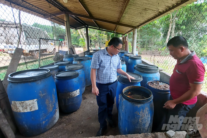 Anh Nguyễn Đăng Vương (áo đỏ), chủ trang trại chuyên gom cơm thừa canh cặn về ủ lên men để chăn nuôi theo hướng hữu cơ. Ảnh: Võ Dũng.