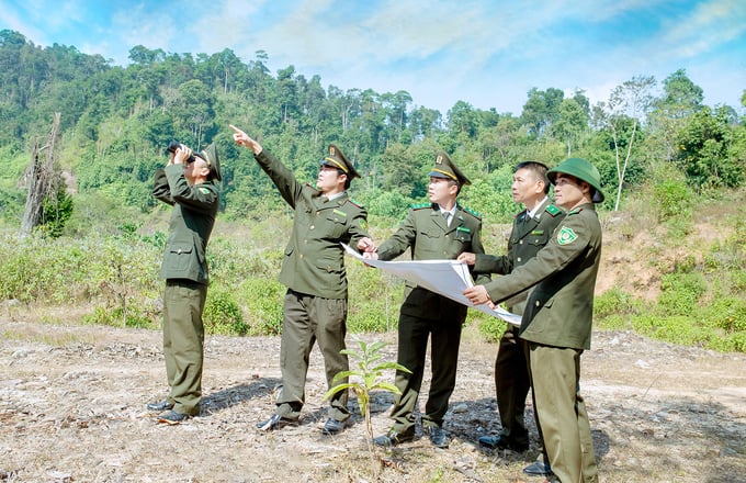 2-2-123537_248.jpg Bất kỳ giai đoạn nào, vai trò của lực lượng kiểm lâm Nghệ An cũng được phát huy rõ nét. Ảnh: Khôi An.