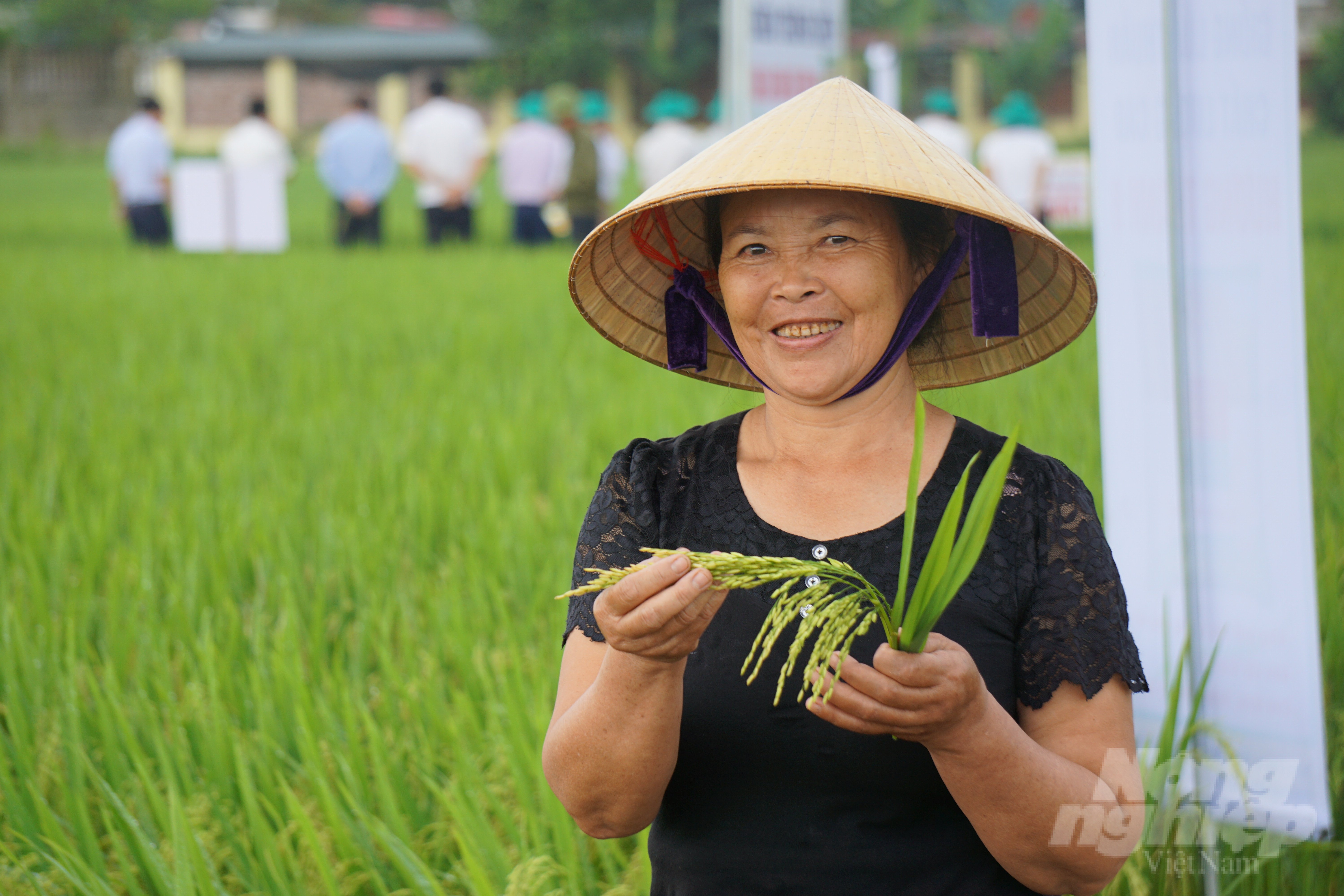 Đây là vụ đầu tiên huyện Triệu Sơn đưa giống lúa thuần chất lượng cao Hương Thanh 8 vào thực hiện mô hình trình diễn. Bước đầu cho thấy, đây là giống lúa có tiềm năng năng suất cao, có khả năng thích ứng rộng với điều kiện khí hậu, đất đai và trình độ thâm canh trên địa bàn huyện.