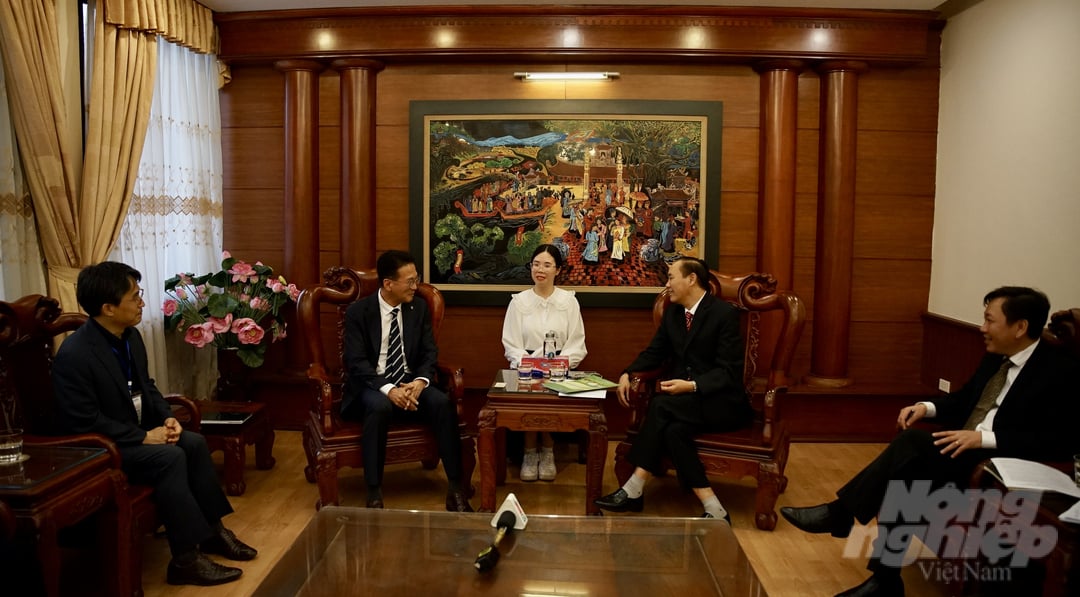 Deputy Minister Phung Duc Tien met with Mr. Chang An Cheol, Head of the External Agricultural Technology Department of the Korea Rural Development Administration (RDA) / Director of the Korea Program for International Agriculture (KOPIA). Photo: Linh Linh.