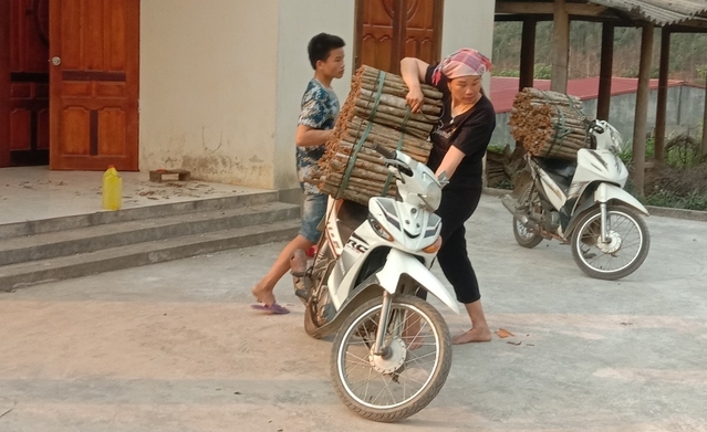 Năm nay, các sản phẩm từ cây quế đều tiêu thụ rất thuận lợi với giá cao và ổn định. Ảnh: Xuân Cường.