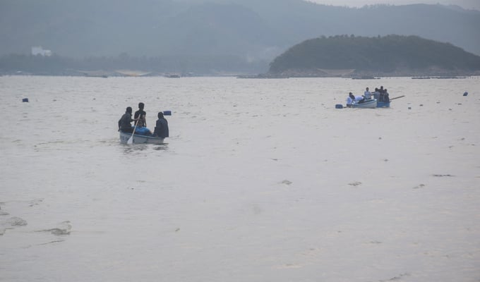 1-071738_141.jpg Đoàn công tác của ngành thủy sản Bình Định tham quan vùng biển trồng rong thương phẩm của Công ty TNHH Okinawa ở thị xã Sông Cầu (Phú Yên). Ảnh: V.Đ.T.