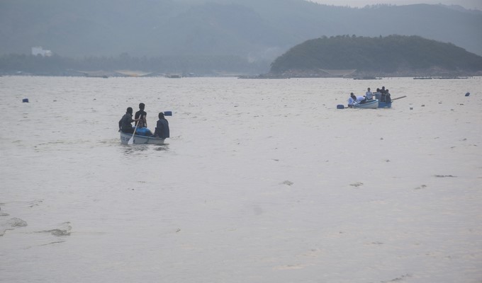 The delegation of the Binh Dinh fisheries industry visited the commercial seaweed farming waters of Okinawa Co., Ltd. in Song Cau town (Phu Yen). Photo: V.D.T.