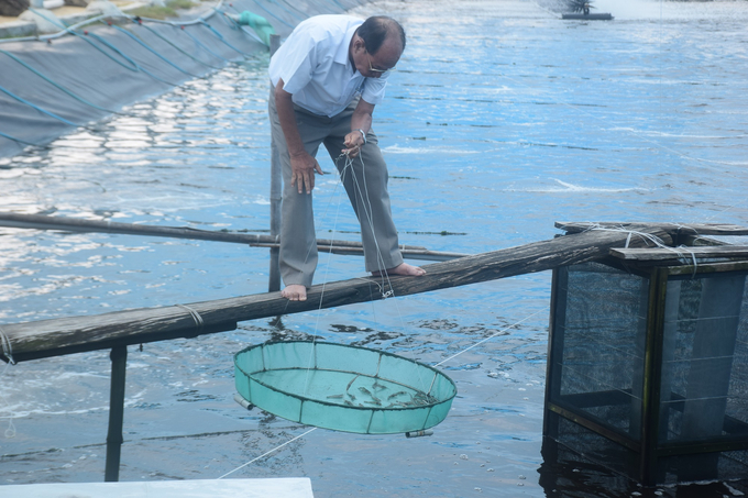 Ông Châu kiểm tra phát triển của tôm nuôi tại trại nuôi tôm thâm canh ở Đề Gi, xã Cát Khánh (huyện Phù Cát, Bình Định). Ảnh: V.Đ.T.