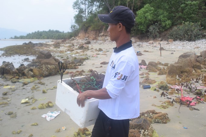 An employee of Okinawa Co., Ltd. (Song Cau town, Phu Yen) takes the ropes of seaweed to the sea and ties it to the truss for farming. Photo: V.D.T.
