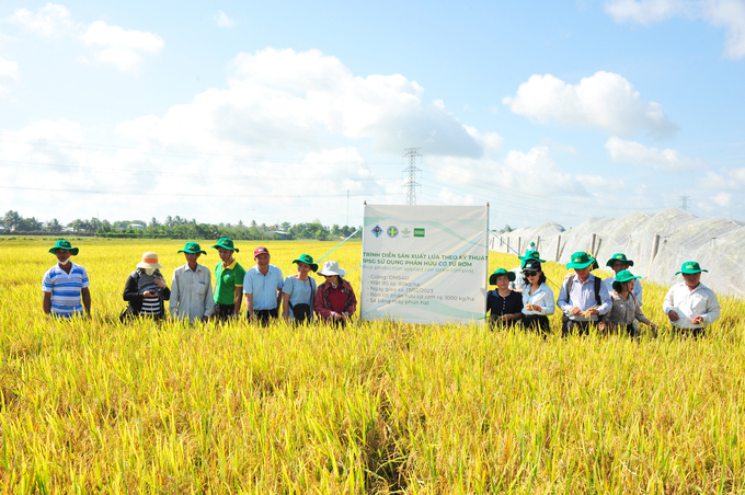 Mô hình canh tác lúa sử dụng phân bón hữu cơ từ rơm tại quận Thốt Nốt, TP Cần Thơ. Ảnh: Lê Hoàng Vũ.