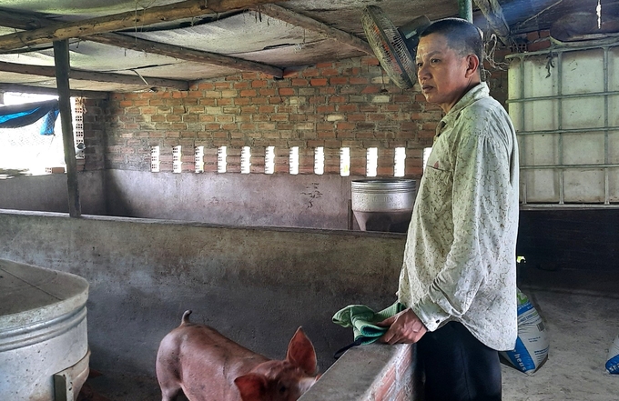 Mỗi khi xảy ra dịch bệnh, ông Tuấn đều tự cứu mình. Ảnh: Tuấn Anh.