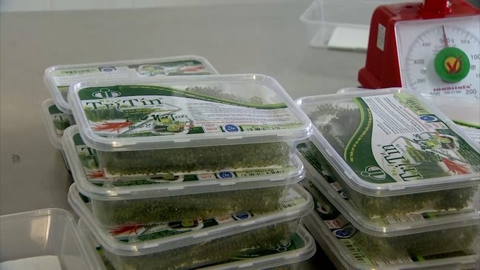 Products processed from seaweed are the destination of Binh Dinh after developing seaweed farming. Photo: V.D.T.