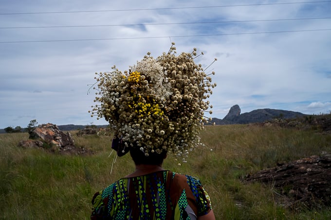 GIAHS base their livelihoods and food security on their close relationship with their surroundings.