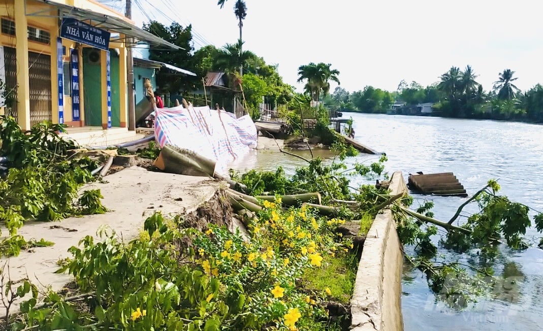 anh-1-174544_786.jpg Vụ sạt lở bờ sông Ô Môn chiều dài 40m, ăn sâu vào bờ 6m vào sáng ngày 24/5 đoạn thuộc ấp Thới Khánh, xã Tân Thạnh, huyện Thới Lai (TP Cần Thơ). Ảnh: Lê Hoàng Vũ.