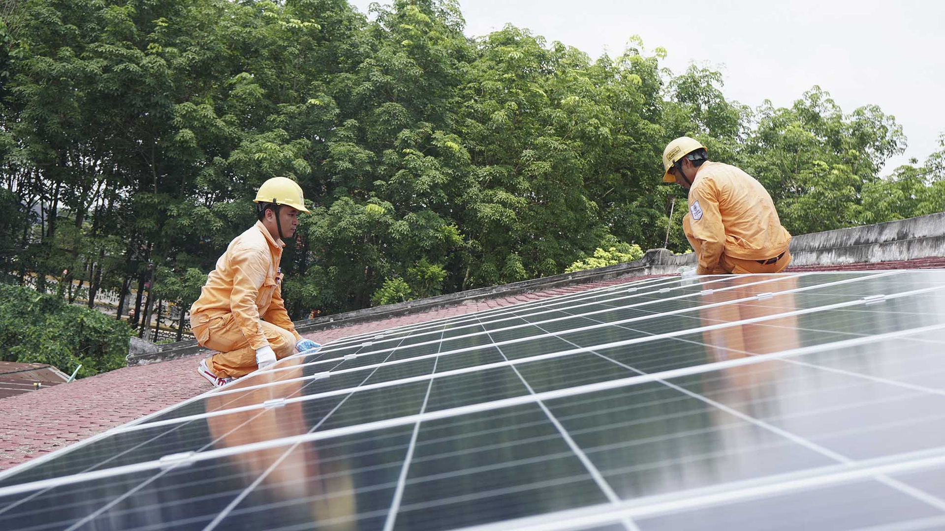 EVN đã hoàn thành đàm phán và ký với 40/40 chủ đầu tư dự án điện gió, điện mặt trời chuyển tiếp đề xuất giá tạm 50%.