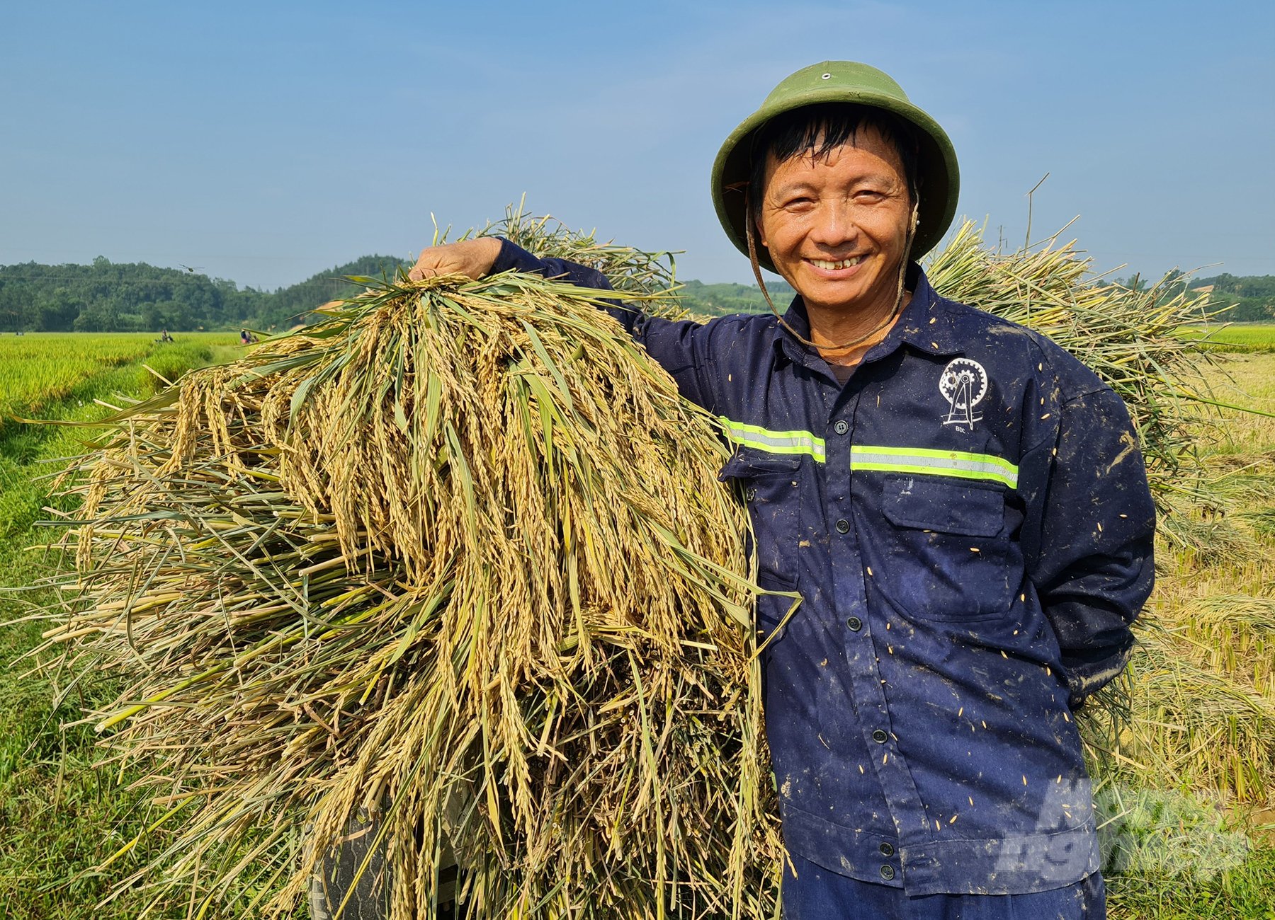 z4389985353072_fd7edb8ef0f96c2ce10918ca1bea4faf-180539_417.jpg Lúa Thanh Hương 8 góp thêm niềm vui được mùa cho nông dân xứ Nghệ. Ảnh: Việt Khánh.