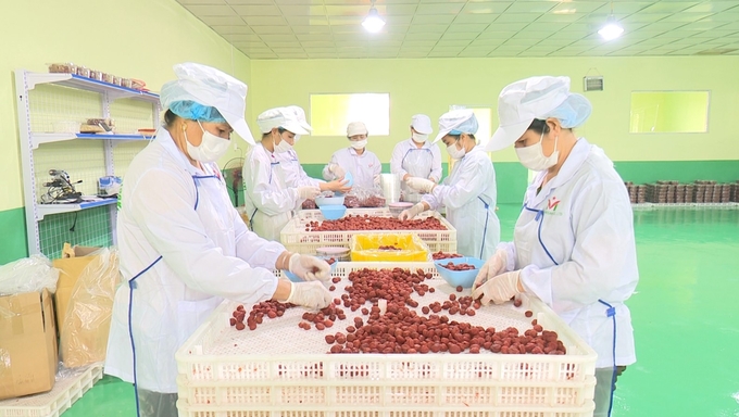 cty-111303_943.jpg Nhu cầu học nghề đề chuyển đổi việc làm cao nhưng số lượng người lao động được hỗ trợ còn ít. Ảnh: Ngọc Tú.