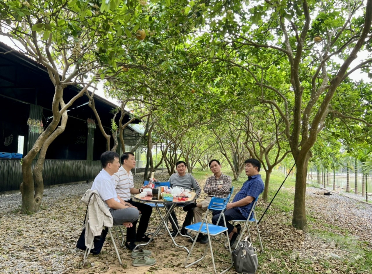 Trại bưởi của gia đình ông thường xuyên đón khách tới tham quan. Ảnh: Quốc Toản.