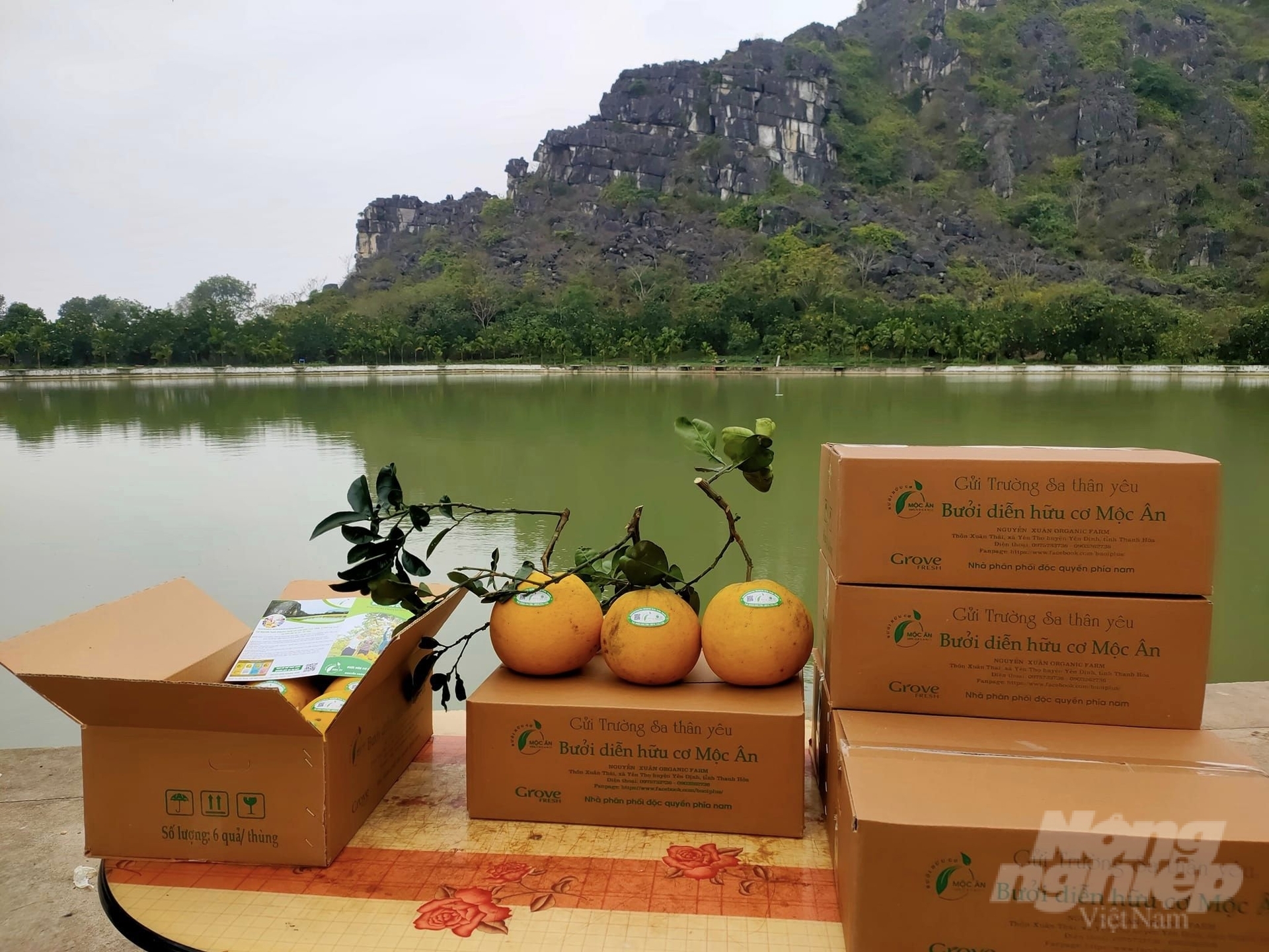 Sản phẩm bưởi Diễn hữu cơ Mộc Ân được tiêu thụ tại nhiều tỉnh, thành phố trong cả nước. Ảnh: Quốc Toản.