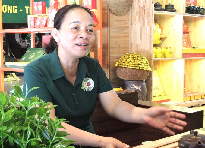Bà Phạm Thanh Hảo, Giám đốc Hợp tác xã chè Hảo Đạt. Ảnh: Văn Việt. 