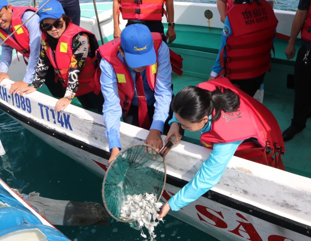 Việc thả giống thủy sản được Công ty Yến sào Khánh Hòa thực hiện định kỳ hàng năm. Ảnh: KS.