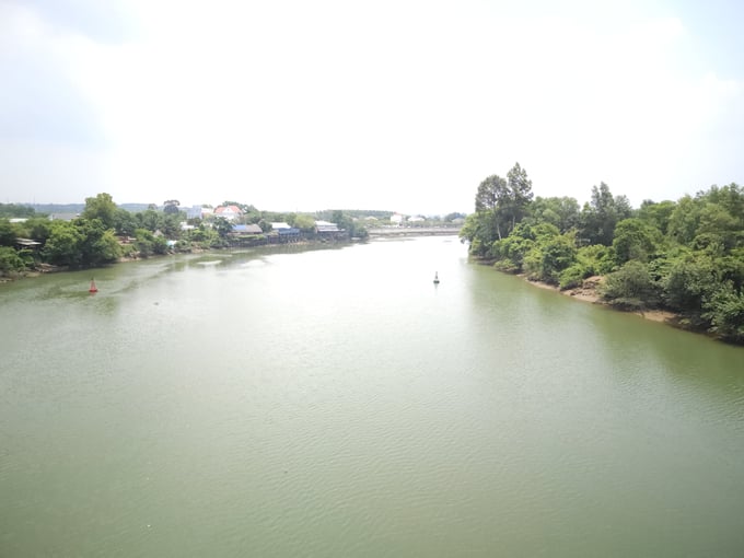 Bach Dang Bridge crosses the Dong Nai River, the river has helped this island land for generations to be fertile, with green trees. Photo: Hong Thuy.