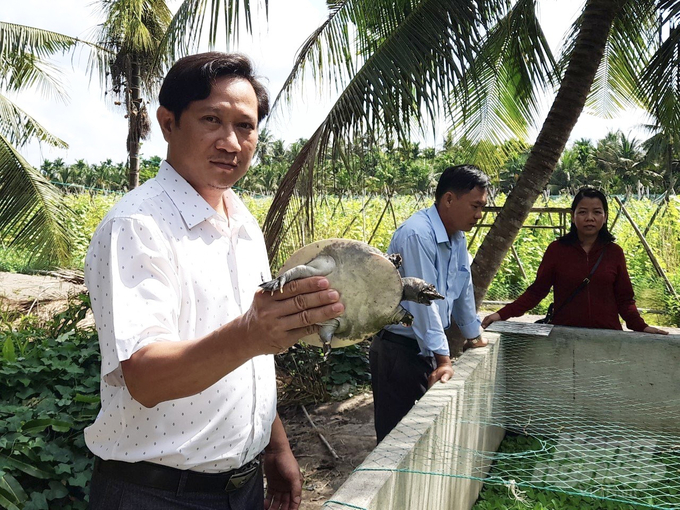 Anh Trần Văn Minh (xã Bình Phú, huyện Càng Long) sẵn sàng chia sẻ kinh nghiệm cho bà con muốn lập nghiệp từ mô hình nuôi cua đinh bán giống. Ảnh: Hồ Thảo.