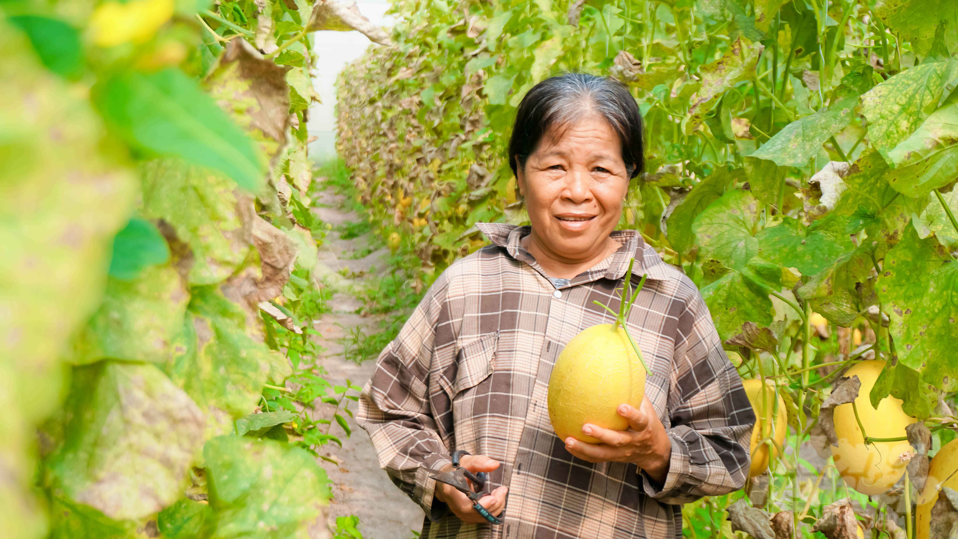 Thực phẩm hữu cơ được các chuyên gia y tế đánh giá là ngon, lành và mang lại lợi ích cho sức khỏe. Ảnh: Lê Bình.